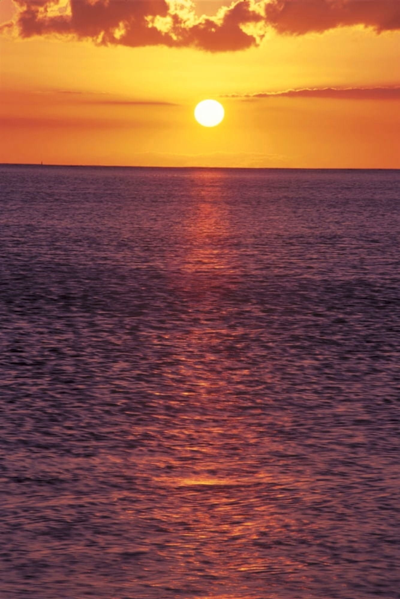 Golden Sun Ball Sunset With Orange Sky Over Ocean Purple Surface With Reflections Canvas Art - Tomas del Amo Design Pics (12 x 19)