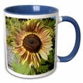 thumbnail image 1 of 3drose, Golden Sunflower- Flowers- Autumn Photography, 15oz Two-tone Blue Mug, 1 of 6