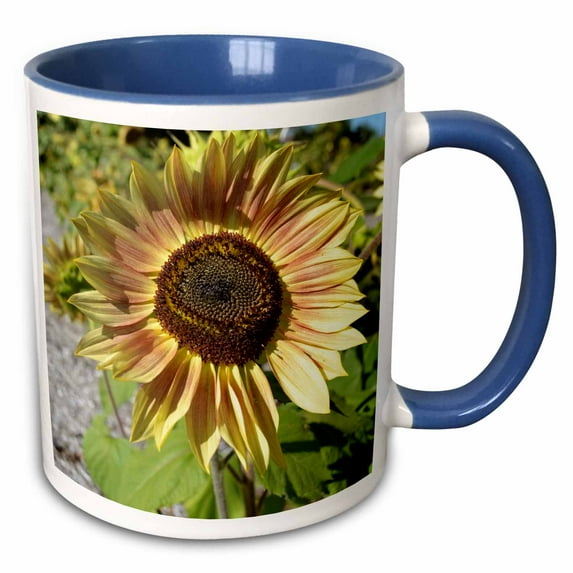 3drose, Golden Sunflower- Flowers- Autumn Photography, 15oz Two-tone Blue Mug