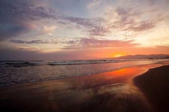 Golden Sunset Canvas Art - Susan Bryant  (24X36)