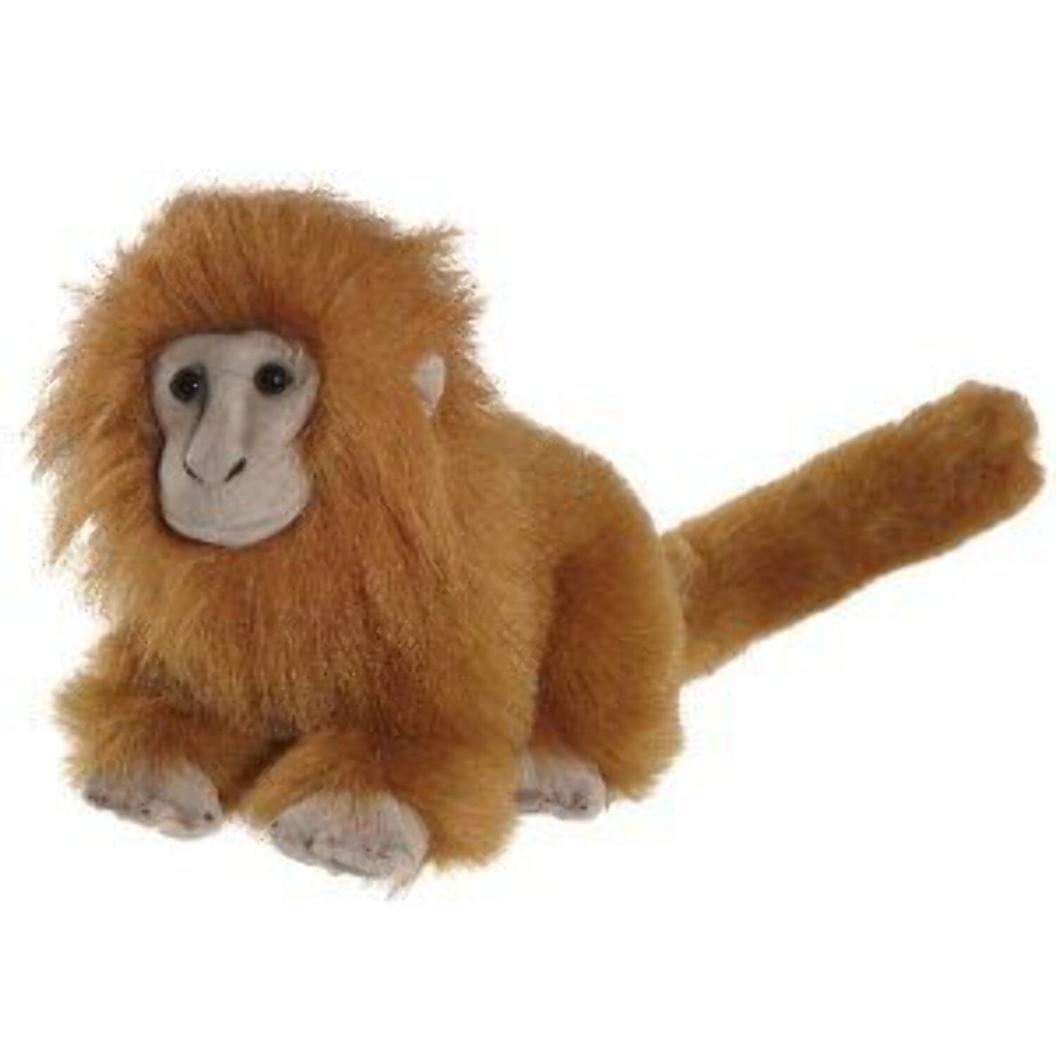 Golden Tamarin Signature 12 inch