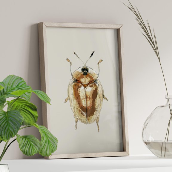Golden Tortoise Beetle Metallic Gold Insect Nature Illustration Bug Drawing, Unframed Poster