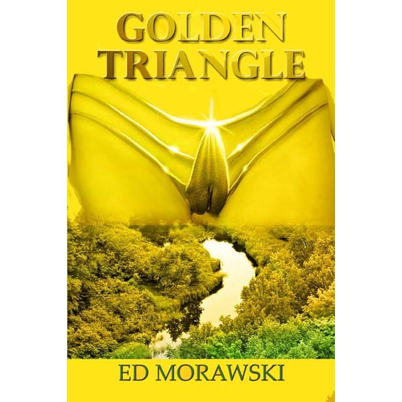 Golden Triangle : a Wolinski Tale (Paperback)