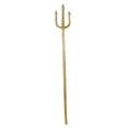 thumbnail image 1 of Golden Trident, 1 of 5