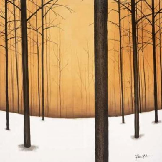 Golden Twilight Canvas Art - Patrick StGermain (24 x 24)