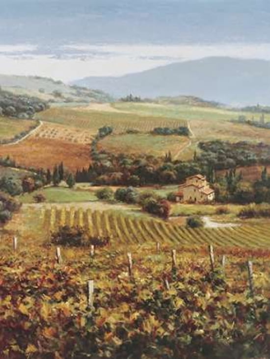 Golden Vineyard I Canvas Art - Seung Koo Ahn (18 x 24)