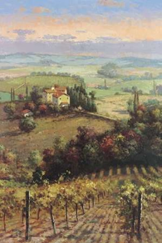 Golden Vineyard II Canvas Art - Seung Koo Ahn (24 x 36)