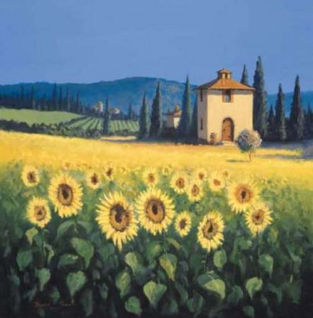 Golden Warmth Canvas Art - David Short (24 x 24)