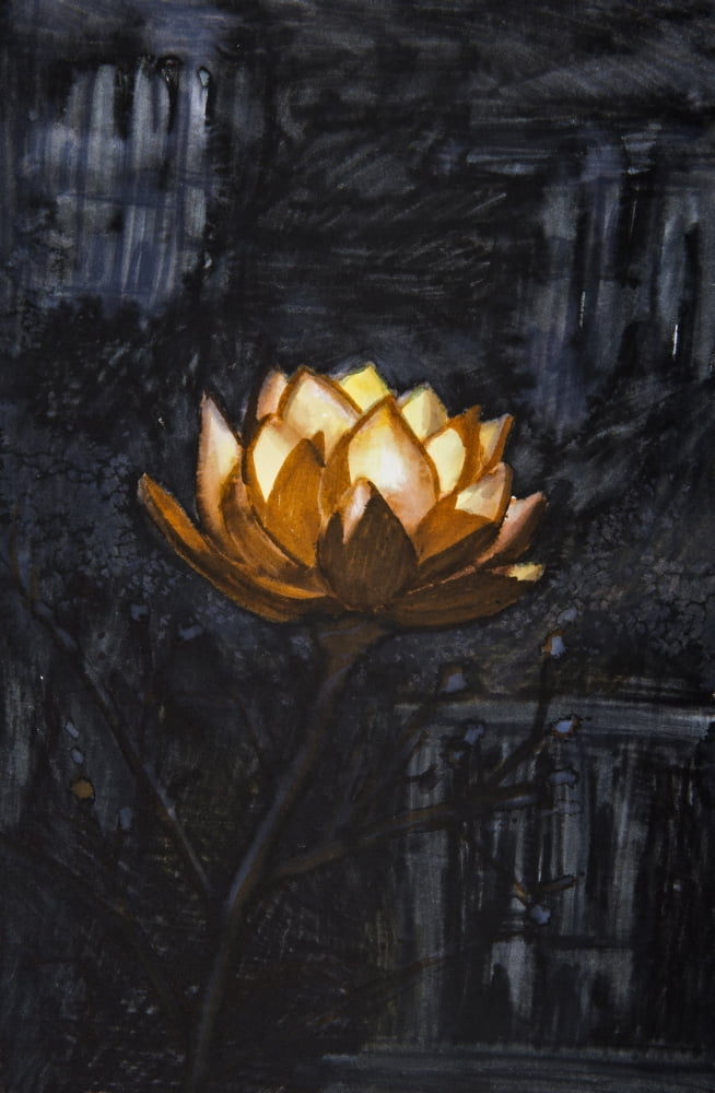 Golden flower on black background Canvas Art - Tara Thelen Design Pics (12 x 18)