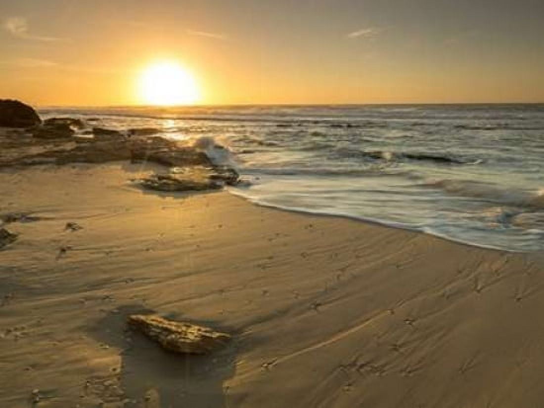Golden sunset on beach Canvas Art - Assaf Frank (18 x 24)