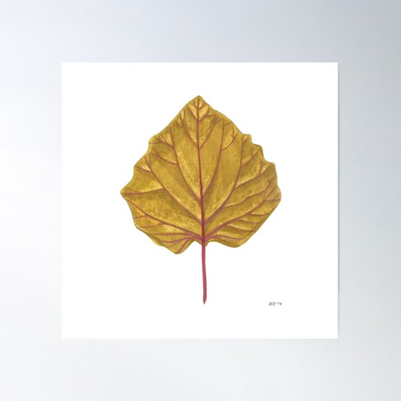 Goldenberry Leaf Poster Wall Art, Modern Wall Decor For Living Room Bedroom, 30x30 UNFRAMED