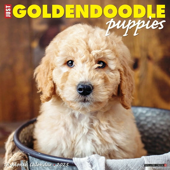 Goldendoodle Puppies 2025 Wall Calendar