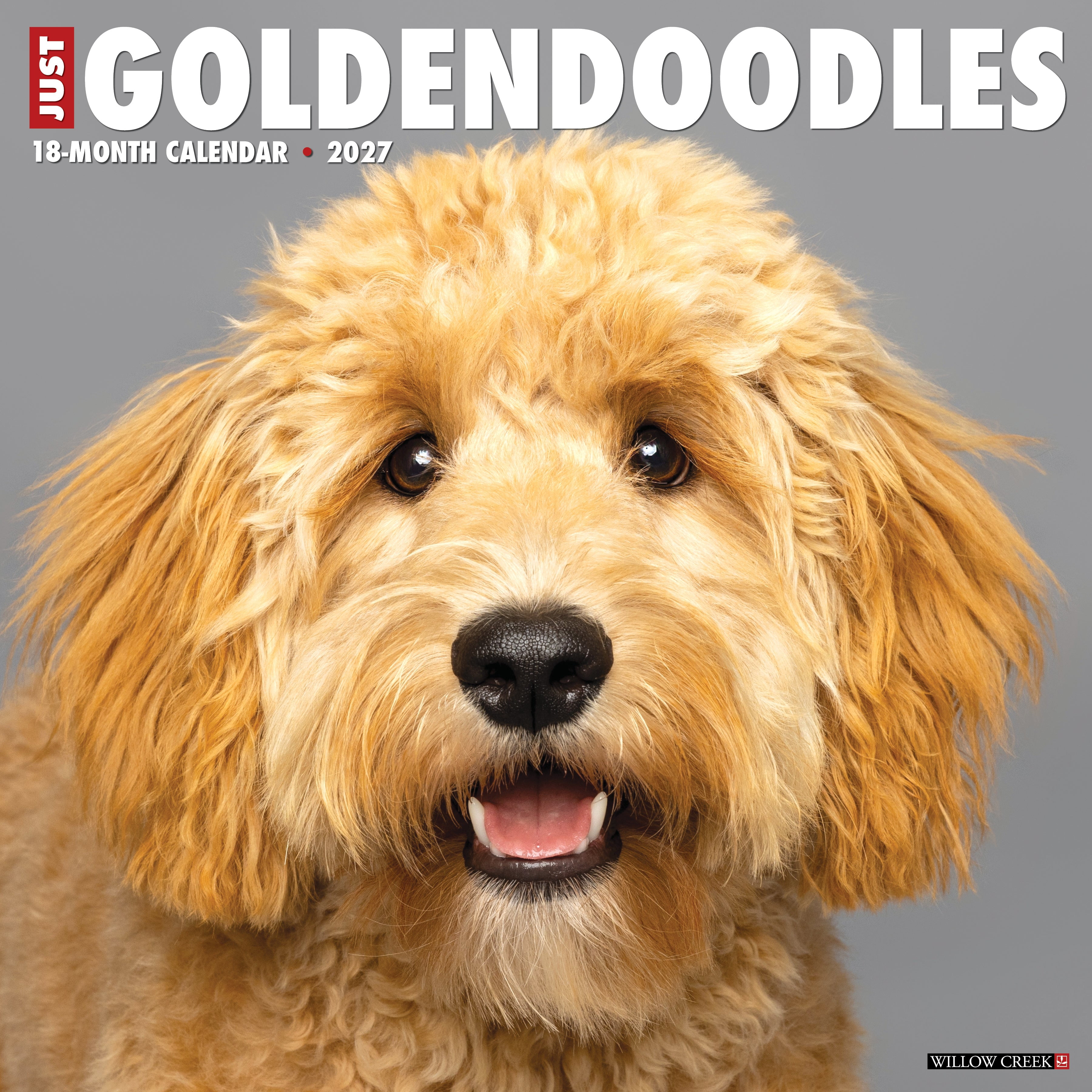 Willow Creek Press, Goldendoodles 2027 Wall Calendar