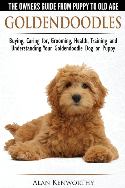 Goldendoodle items sales