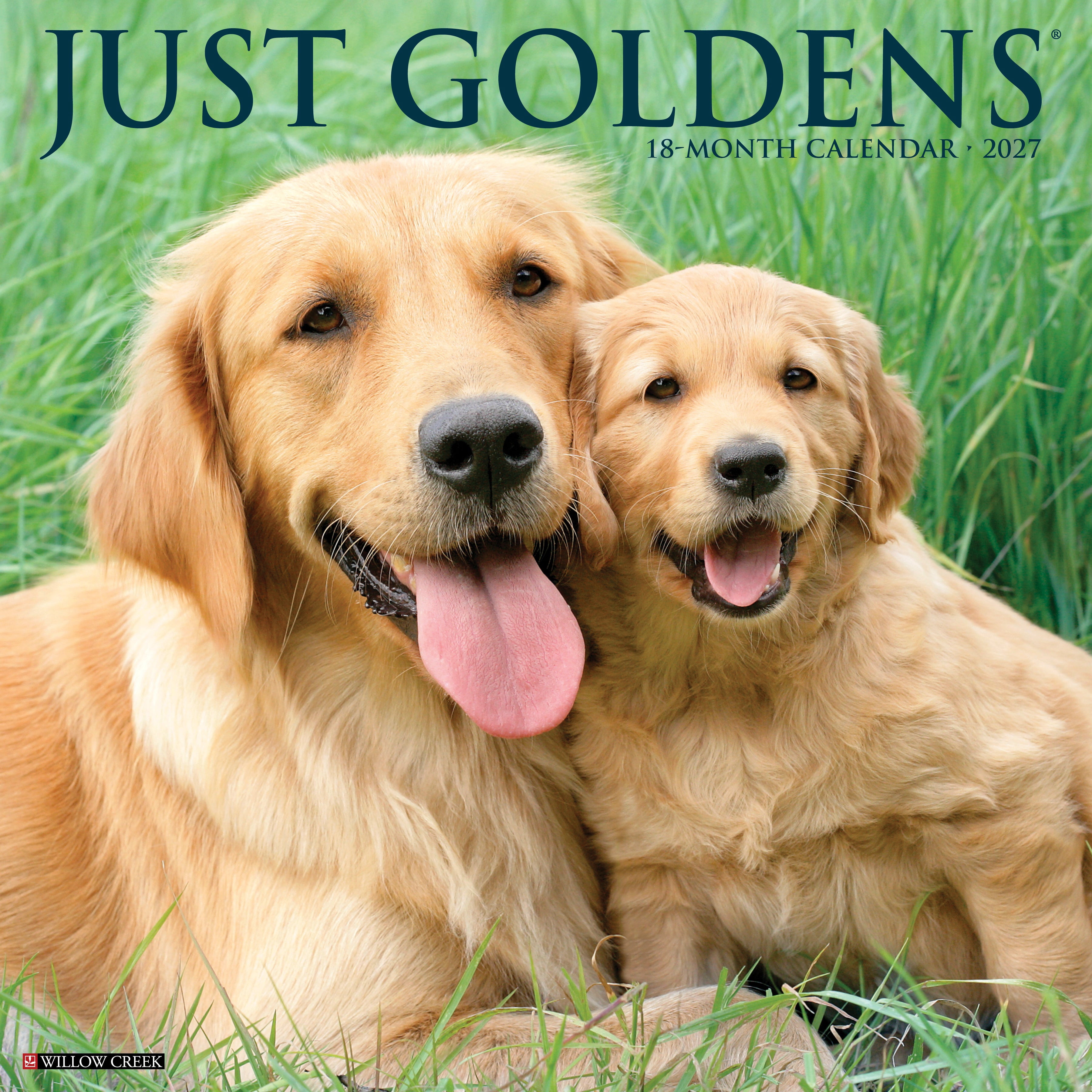 Willow Creek Press, Goldens 2027 Wall Calendar
