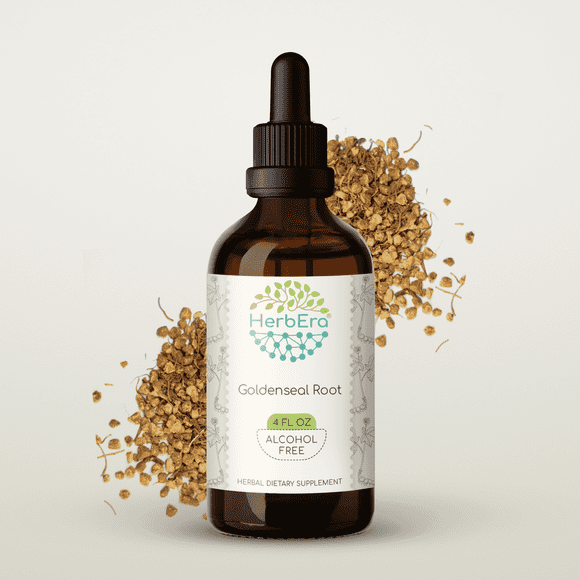 HerbEra Goldenseal Root Tincture, Herbal Dietary Supplement for Immune Support, Goldenseal (Hydrastis сanadensis) Dried Root Extract, Natural, Alcohol-Free, Drops 4 oz