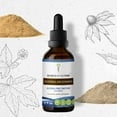 thumbnail image 1 of Secrets Of The Tribe Goldenseal & Echinacea Tincture, Alcohol-Free Herbal Extract for Immune Support, Echinacea Root (Echinacea purpurea), Goldenseal Root (Hydrastis canadensis), 2 oz, 1 of 6