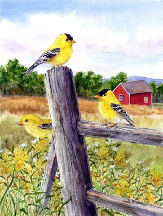 Goldfinch Canvas Art - Maureen Mccarthy (19 x 25)