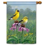 Goldfinch Meadow Flag 2 Sided Vertical House Banner