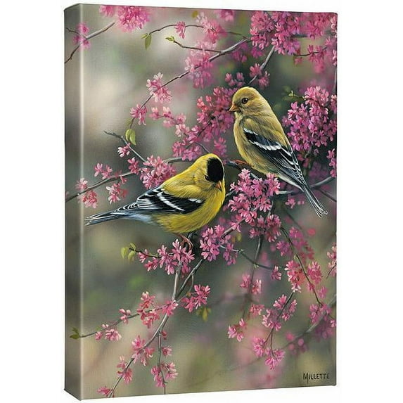 Goldfinch & Redbud