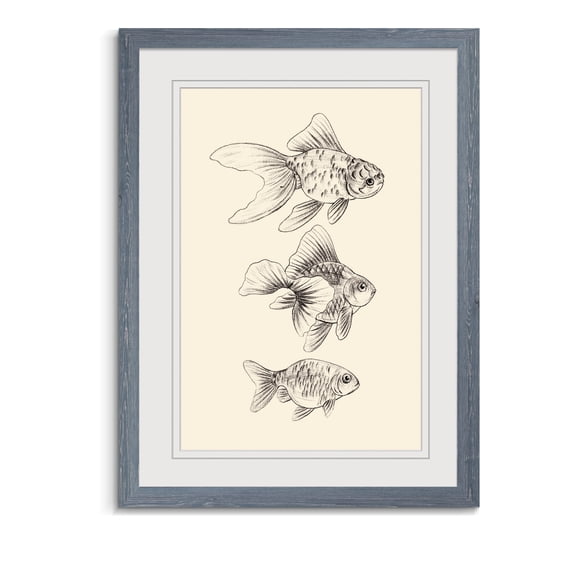 Wexford Home Goldfish III-Framed Print - Grey - 16X22