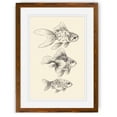 thumbnail image 1 of Wexford Home Goldfish III-Framed Print - Maple - 16X22, 1 of 4