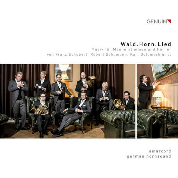 Goldmark,K. / Hornsound,German - Wald.horn.lied - Music & Performance - CD
