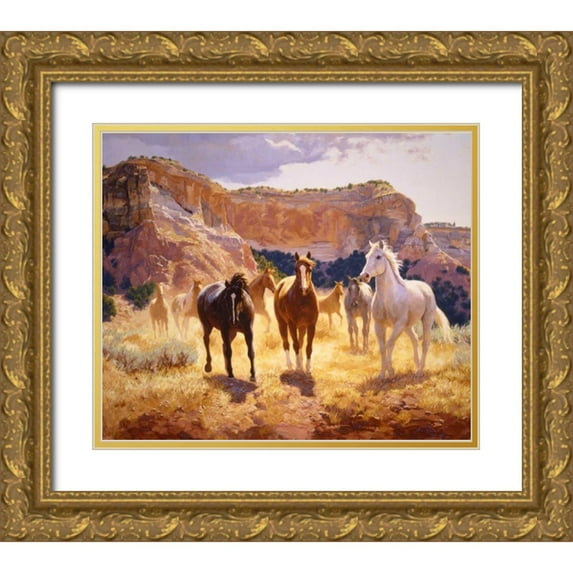 Goldrick, Claire 17x15 Gold Ornate Wood Framed with Double Matting Museum Art Print Titled - Canyon Trails