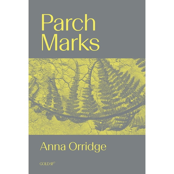 Goldsmiths Press / Gold SF Parch Marks, (Paperback)
