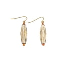 thumbnail image 1 of Goldtone Clear Linear Lucite Drop Earrings, 1 of 1