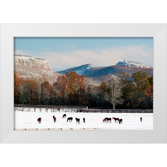 Goldwitz, Robert 14x11 White Modern Wood Framed Museum Art Print Titled - Early Snow Horse Paddock