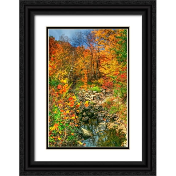 Goldwitz, Robert 17x24 Black Ornate Wood Framed with Double Matting Museum Art Print Titled - Low Water Brook Autumn