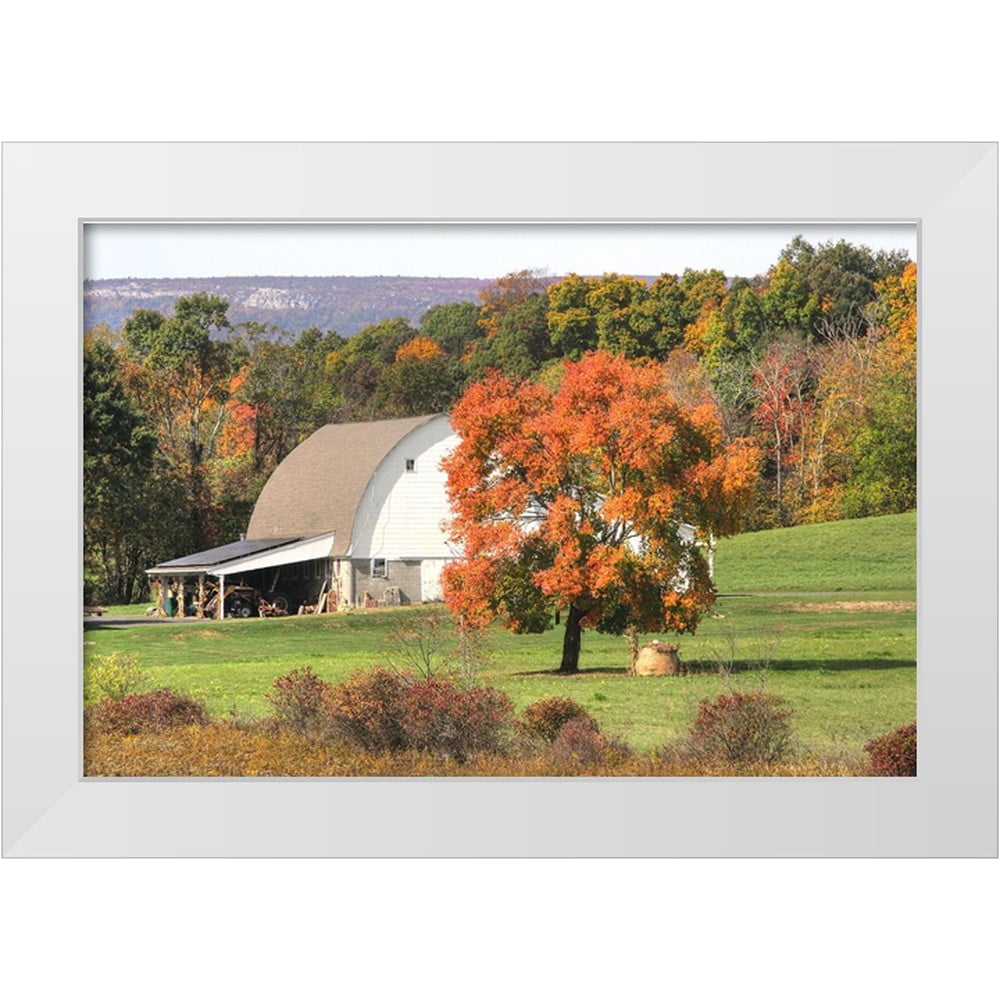 Goldwitz, Robert 18x13 White Modern Wood Framed Museum Art Print Titled