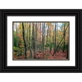 thumbnail image 1 of Goldwitz, Robert 24x17 Black Ornate Wood Framed with Double Matting Museum Art Print Titled - Grey Tree Stand Autumn, 1 of 4