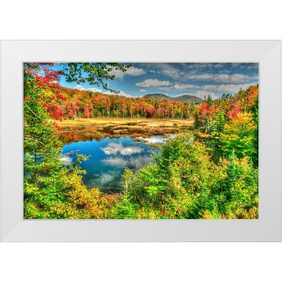 Goldwitz, Robert 24x17 White Modern Wood Framed Museum Art Print Titled - Adirondack Pond