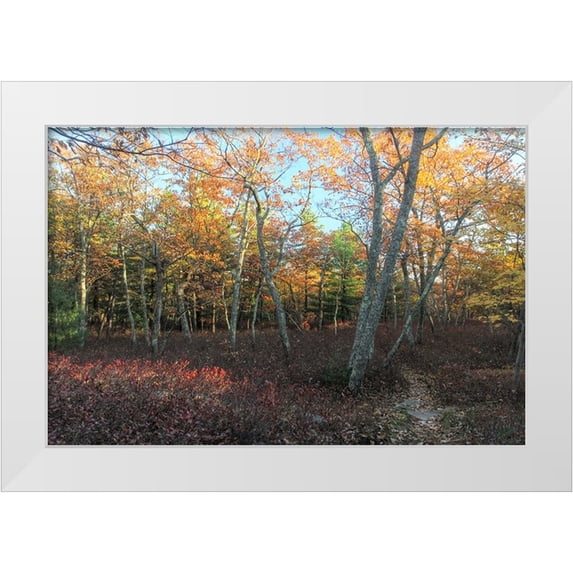Goldwitz, Robert 24x17 White Modern Wood Framed Museum Art Print Titled - Late afternoon on the Ridge