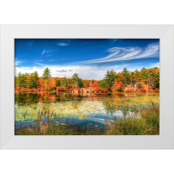 Goldwitz, Robert 32x23 White Modern Wood Framed Museum Art Print Titled - Harriman Pond