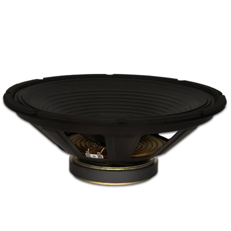 Goldwood Sound GW-1558 Pro 15" Woofer 50oz Magnet 300 Watts Replacement Speaker