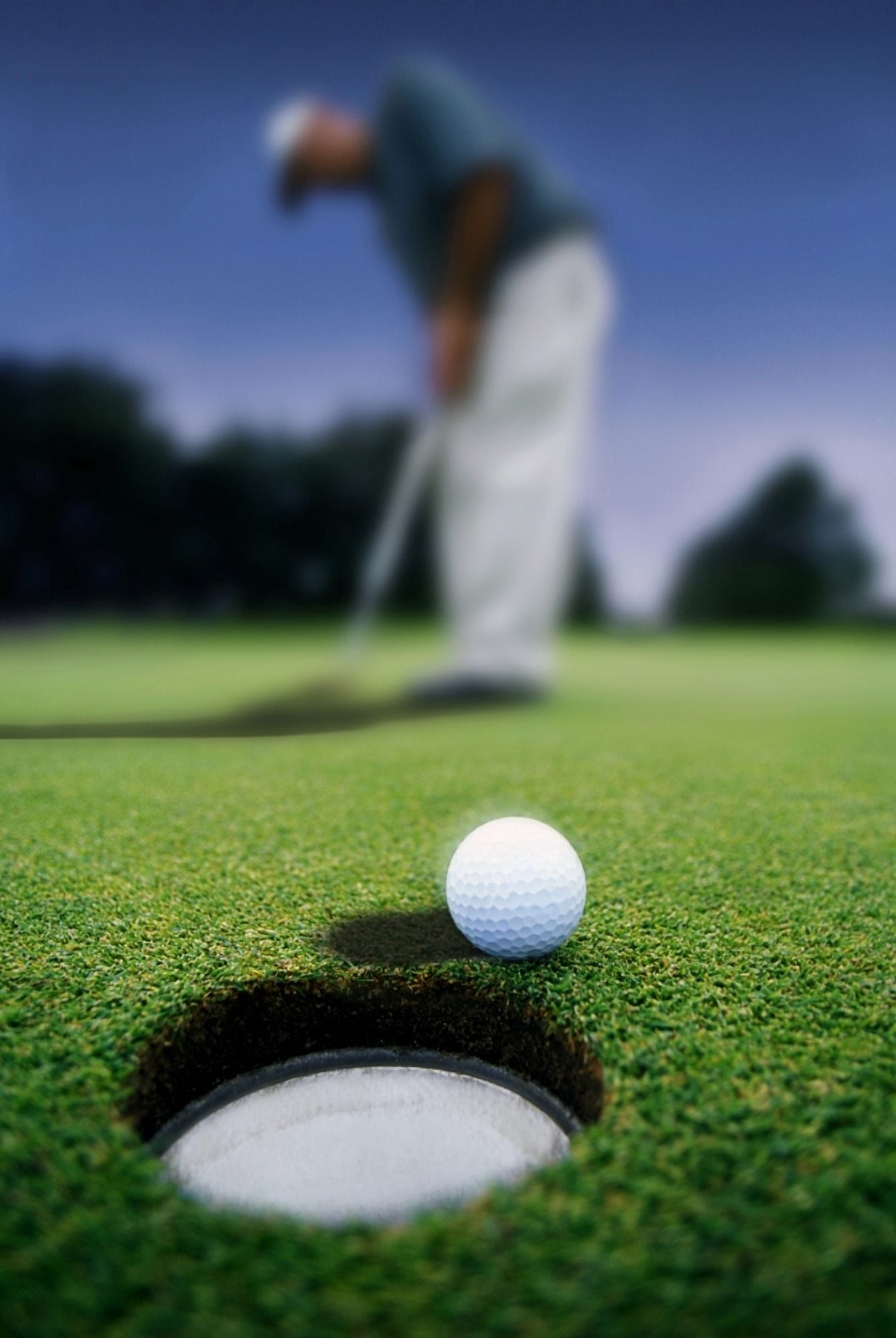 Golf Ball Near Cup Canvas Art - Darren Greenwood Design Pics (11 x 17)
