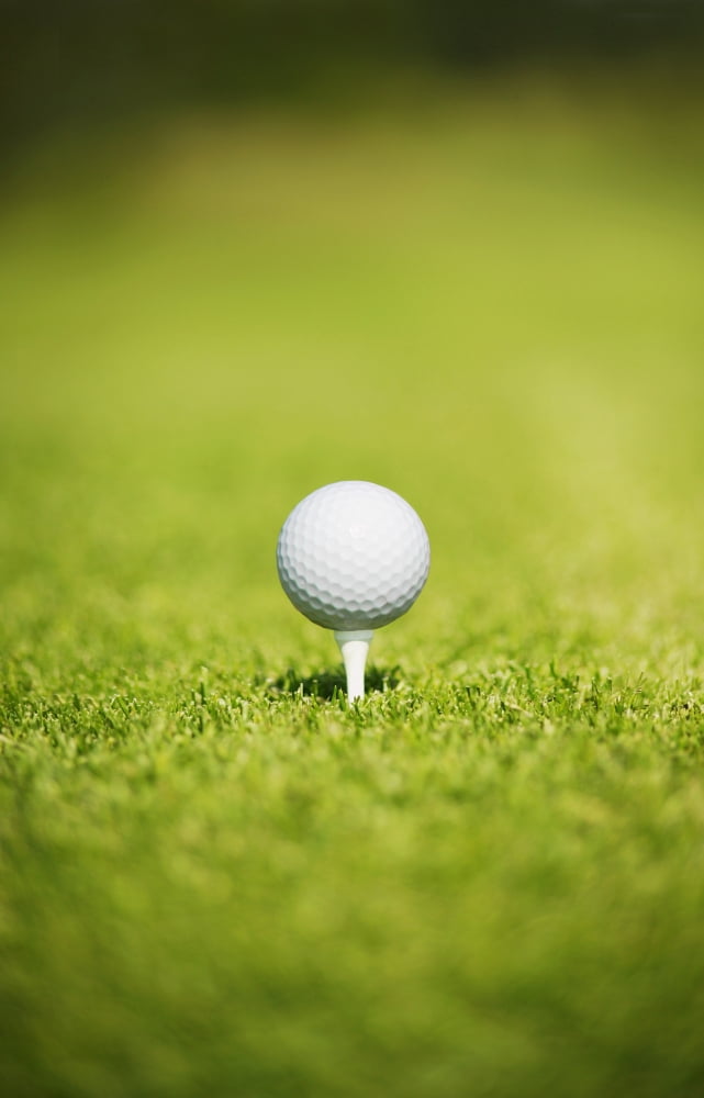 Golf Ball On A Tee Canvas Art - Darren Greenwood Design Pics (22 x 34)