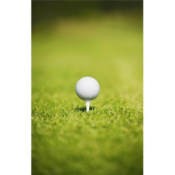 Golf Ball On A Tee Poster Print