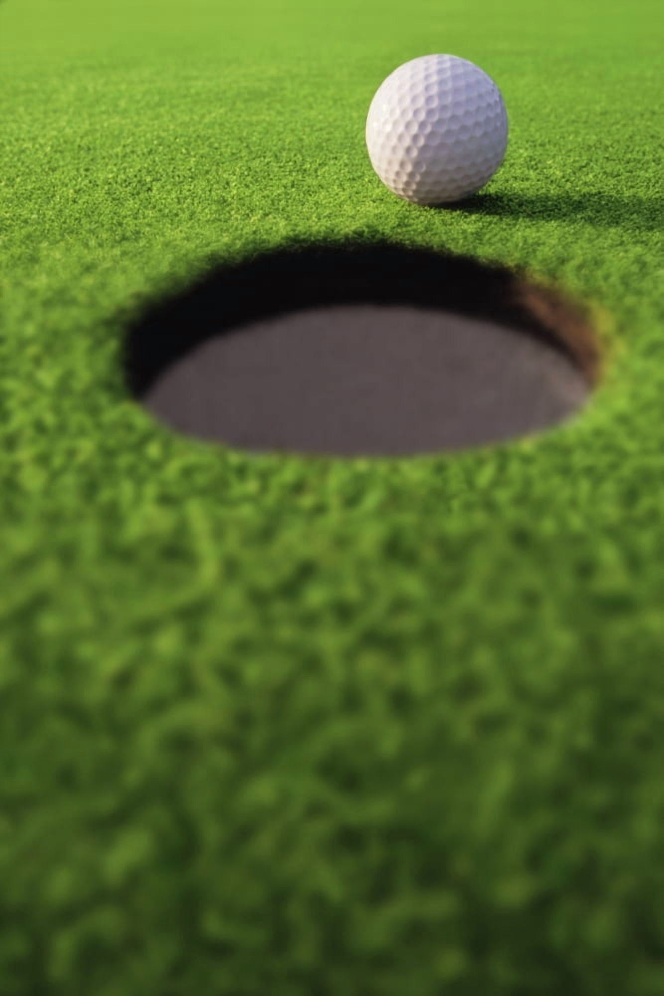 Golf Ball On Lip Of Cup Canvas Art - Don Hammond Design Pics (11 x 17)