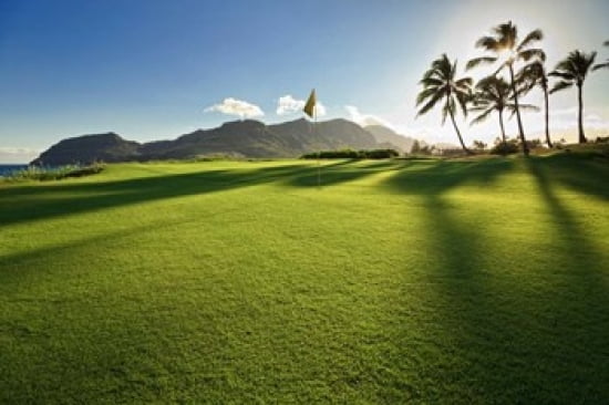 Golf Course Kauai Lagoons Kauai Hawaii Canvas Art - Panoramic Images (18 x 12)