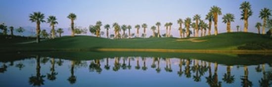Golf Course Marriots Palms AZ USA Canvas Art - Panoramic Images (36 x 12)