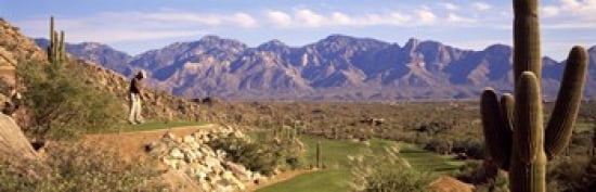 Golf Course Tucson AZ Canvas Art - Panoramic Images (36 x 12)
