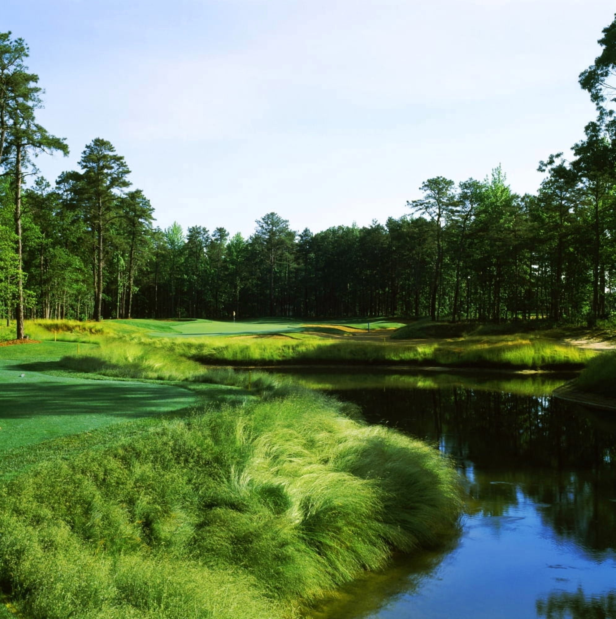 Golf course Sand Barrens Golf Club South Course Cape May Cape May County New Jersey USA Canvas Art - Panoramic Images (24 x 24)