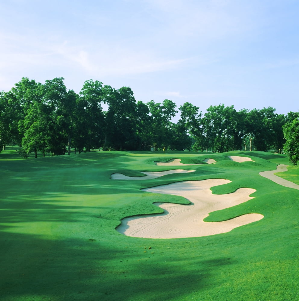 Golf course Shadow Hawk Golf Club Richmond Fort Bend County Texas USA Canvas Art - Panoramic Images (24 x 24)