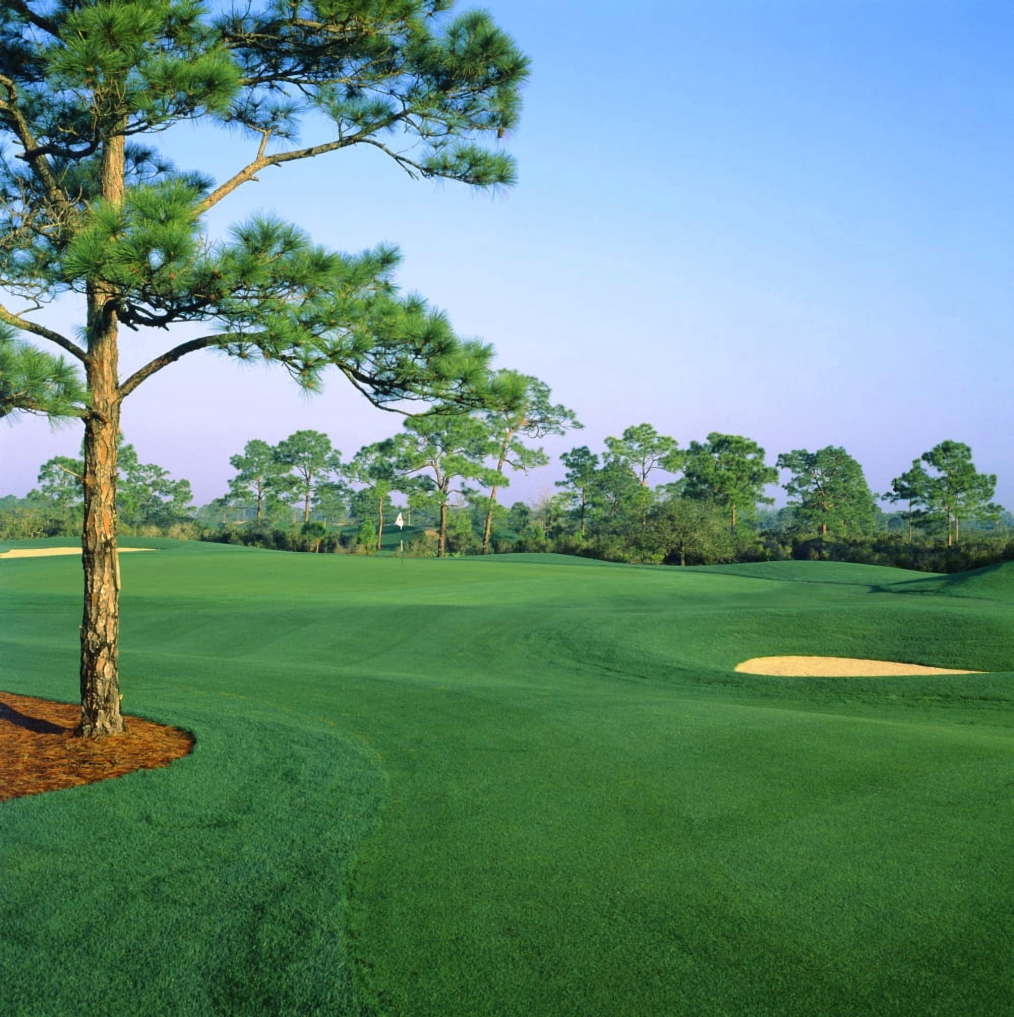 Golf course West Bay Club Estero Lee County Florida USA Canvas Art - Panoramic Images (24 x 24)