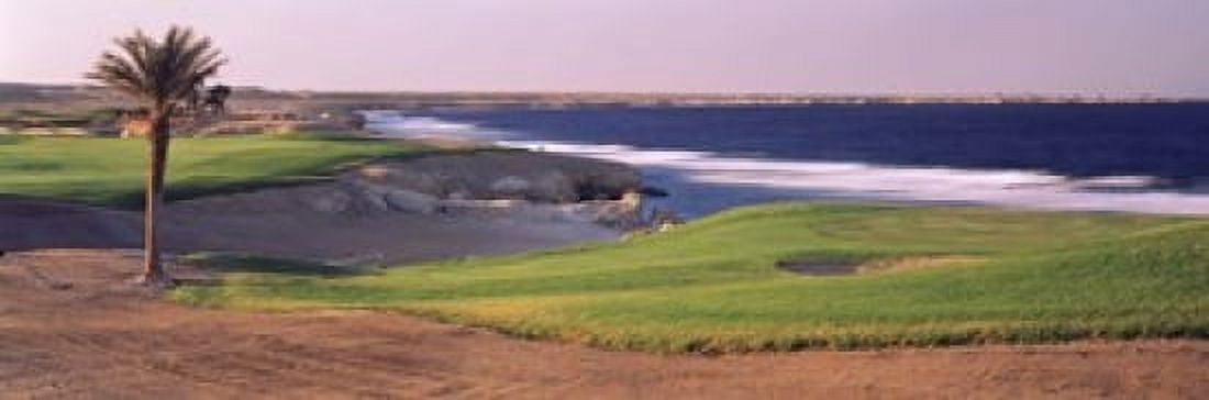Golf course at dusk The Cascades Golf And Country Club Soma Bay Hurghada Egypt Canvas Art - Panoramic Images (18 x 6)
