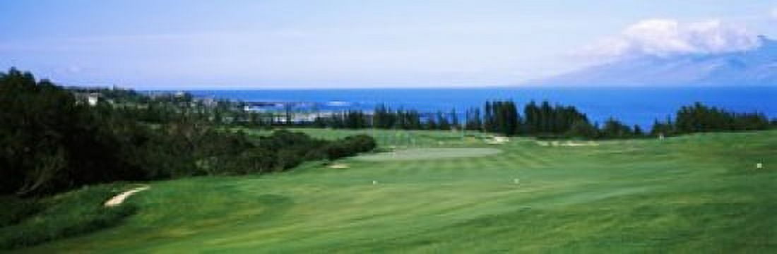 Golf course at the oceanside Kapalua Golf course Maui Hawaii USA Canvas Art - Panoramic Images (36 x 12)
